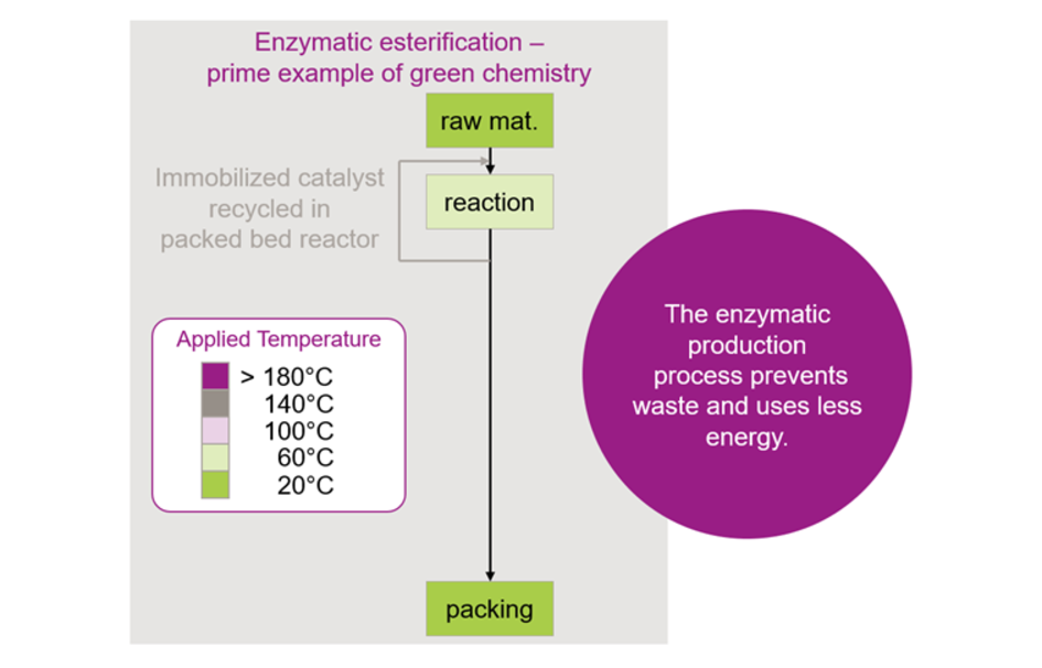 Figure 1. Enzymatic esterification production flow chart.