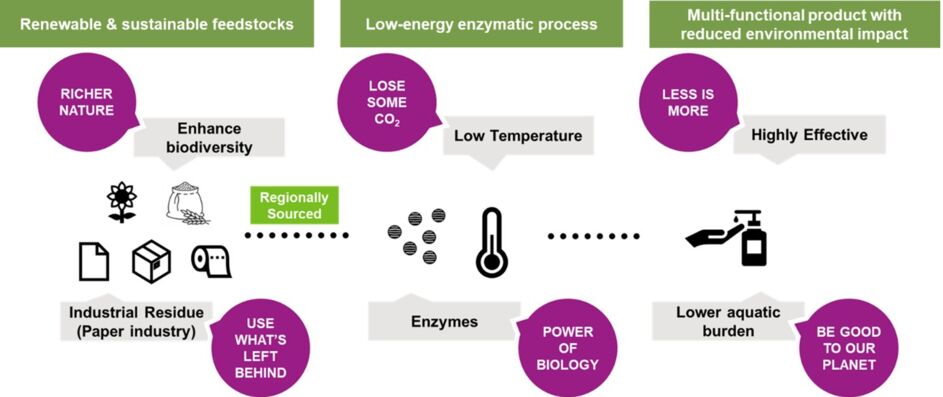 Holistic Eco-friendly Value Chain
 